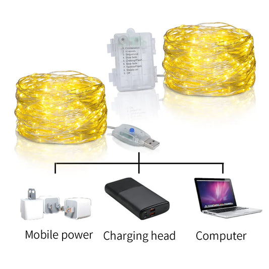 Fairy Glow USB/Battery LED String Lights