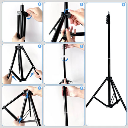 10" LED Ring Light with Tripod & Phone Holder