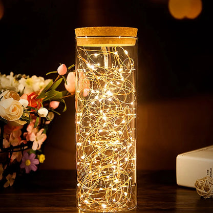 Copper Wire Fairy String Lights