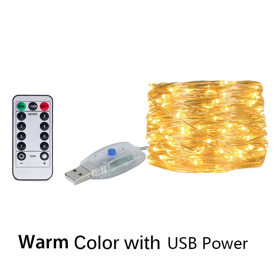 Fairy Glow USB/Battery LED String Lights