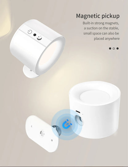 LED Wall Sconces LightS