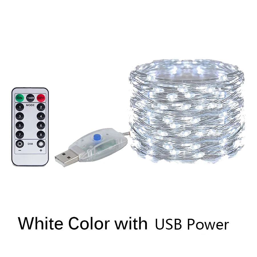 Fairy Glow USB/Battery LED String Lights