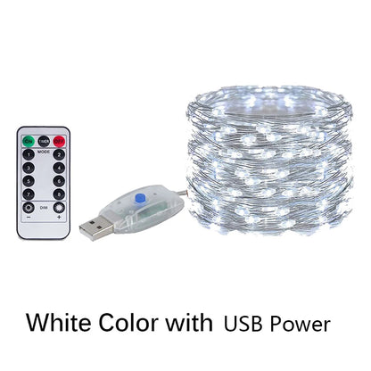 Fairy Glow USB/Battery LED String Lights